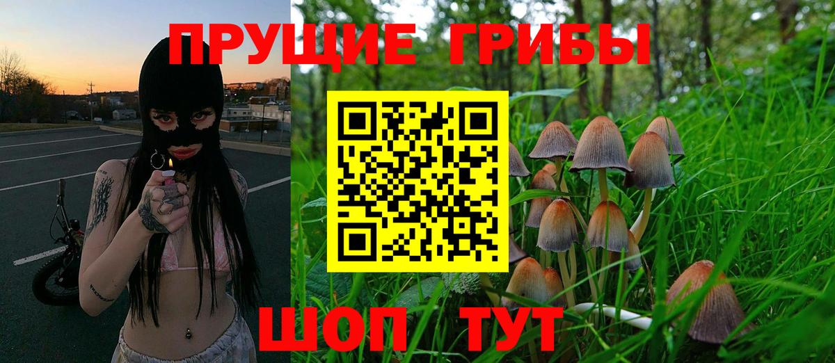 Обь  Галлюциногенные грибы Magic Shrooms  Псилоцибиновые грибы прущие грибы  Вход с VPN 